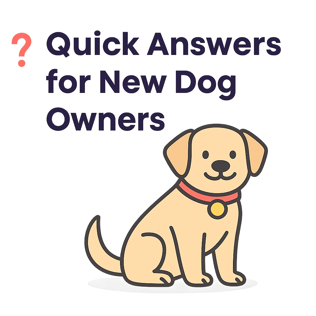 ⭐ Start Here: How to Take Care of a Dog for Beginners quick answers ilustration